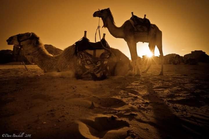 Wadi Rum Fun Time Tour'S エクステリア 写真