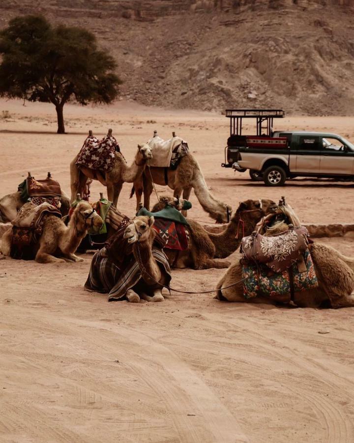 Wadi Rum Fun Time Tour'S エクステリア 写真