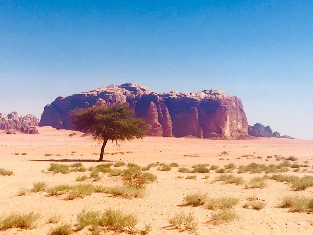 Wadi Rum Fun Time Tour'S エクステリア 写真