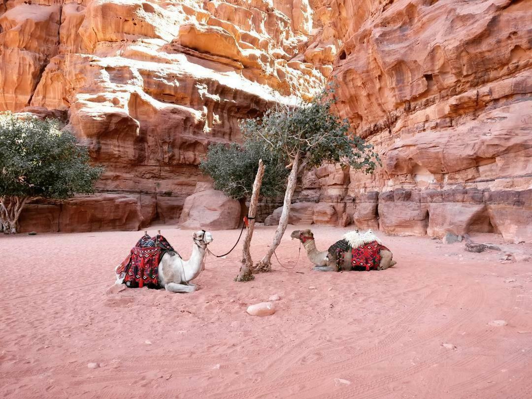 Wadi Rum Fun Time Tour'S エクステリア 写真